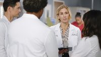 Greys Anatomy